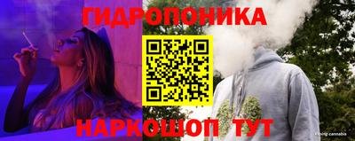 a pvp Пыть-Ях