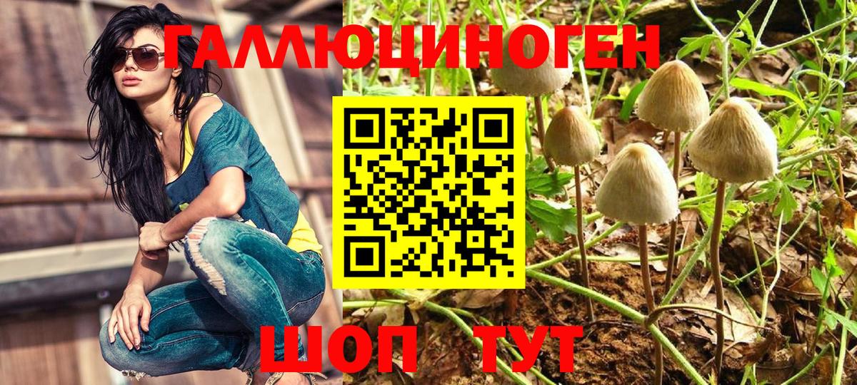 Родники  Галлюциногенные грибы прущие грибы  Вход с VPN  Псилоцибиновые грибы Psilocybe 